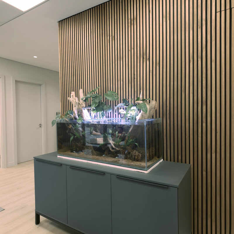 Large planted aquarium with driftwood and monstera leaves on a grey cabinet against a vertical timber slat wall